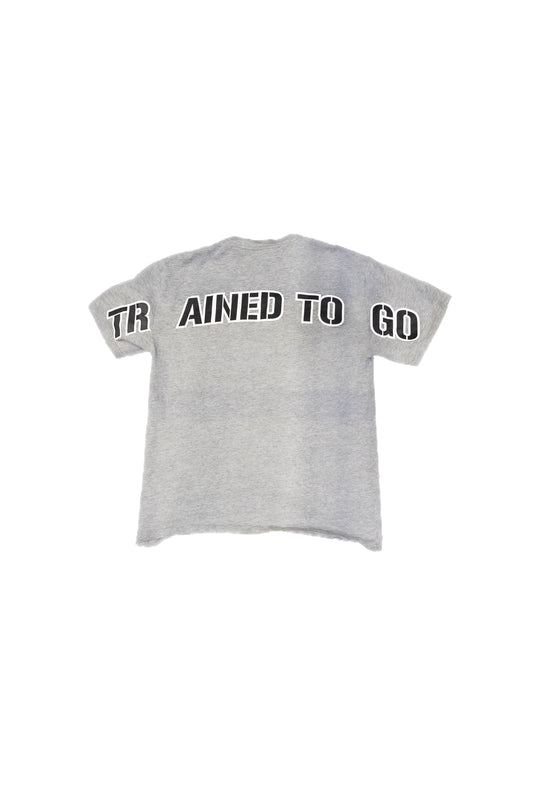 SealTeam7 "TTG" Tee Grey
