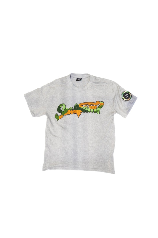SealTeam7 "TTG" Tee Grey